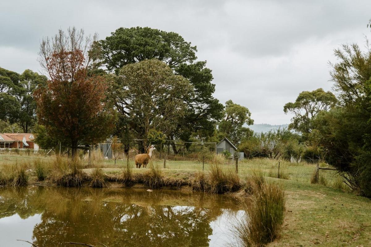 Launching PlaceThe Temple - Country Farm Retreat别墅 外观 照片
