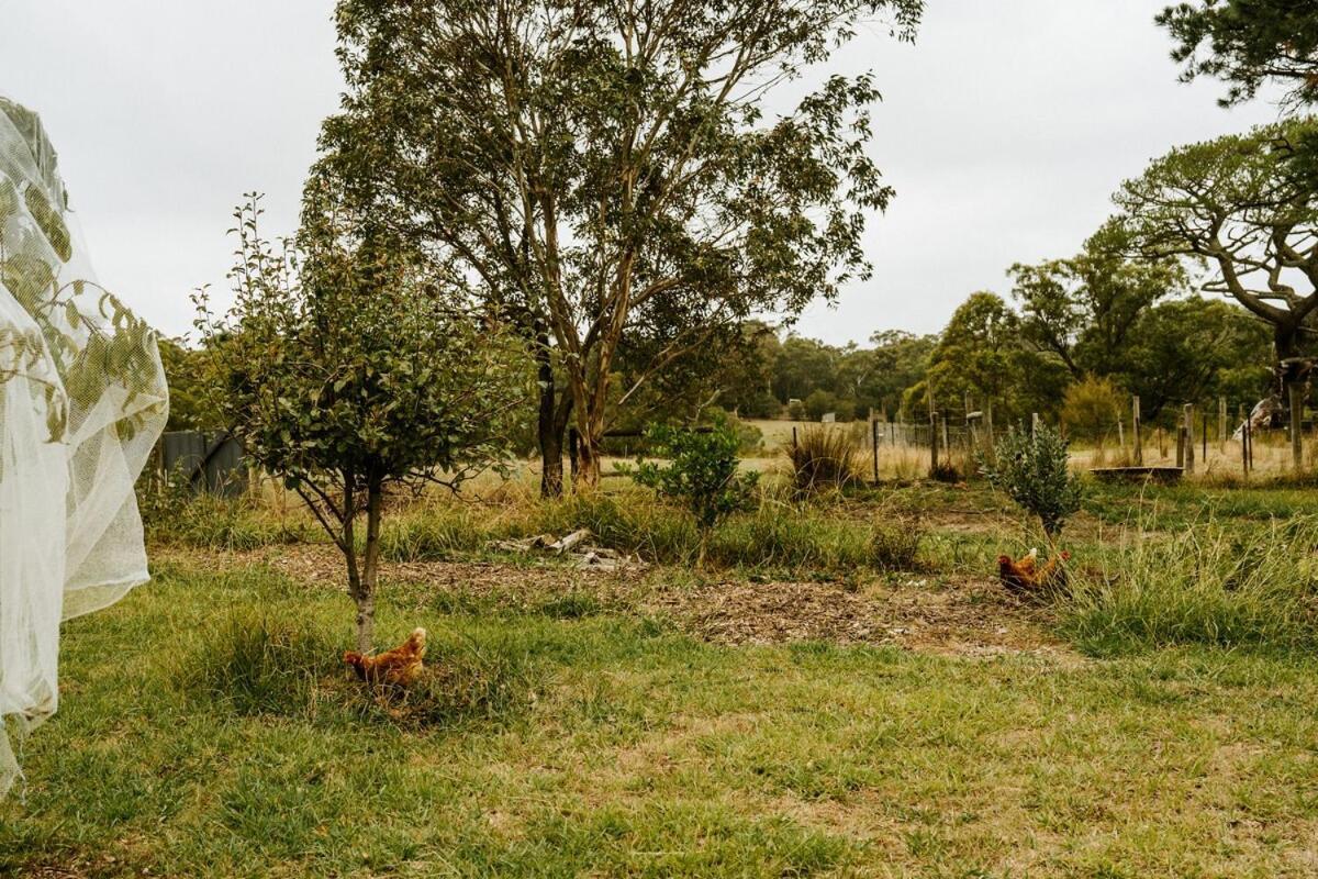 Launching PlaceThe Temple - Country Farm Retreat别墅 外观 照片
