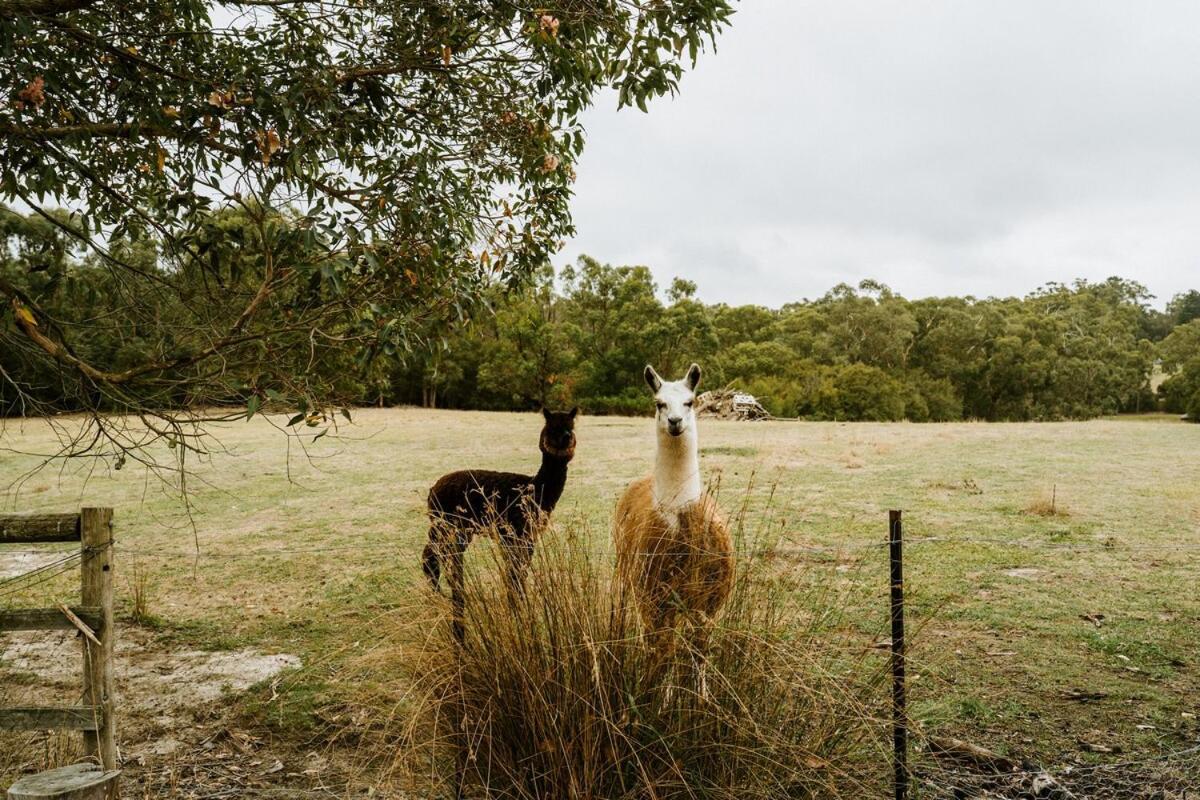Launching PlaceThe Temple - Country Farm Retreat别墅 外观 照片